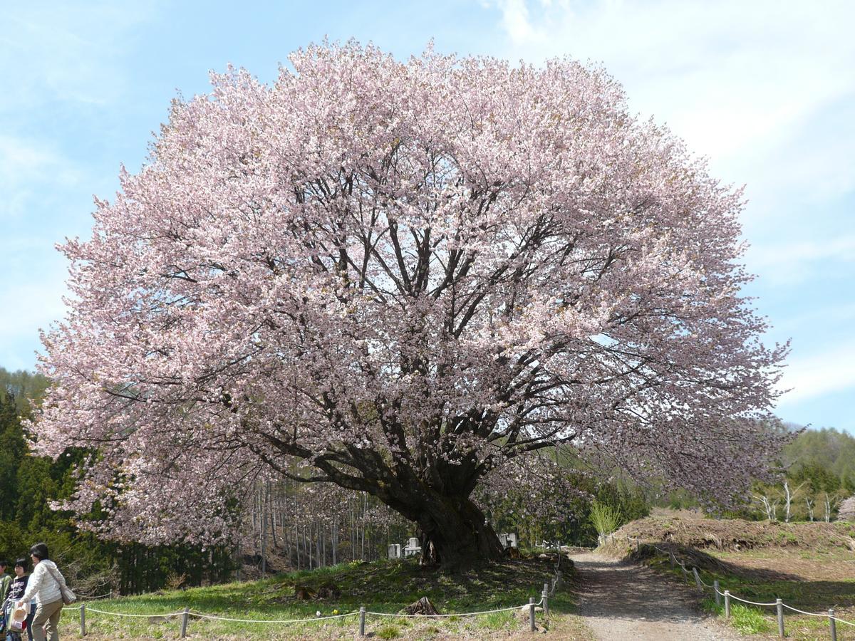 Pension La Palette Katashina Luaran gambar